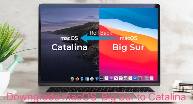 How to downgrade macOS Big Sur to macOS Catalina