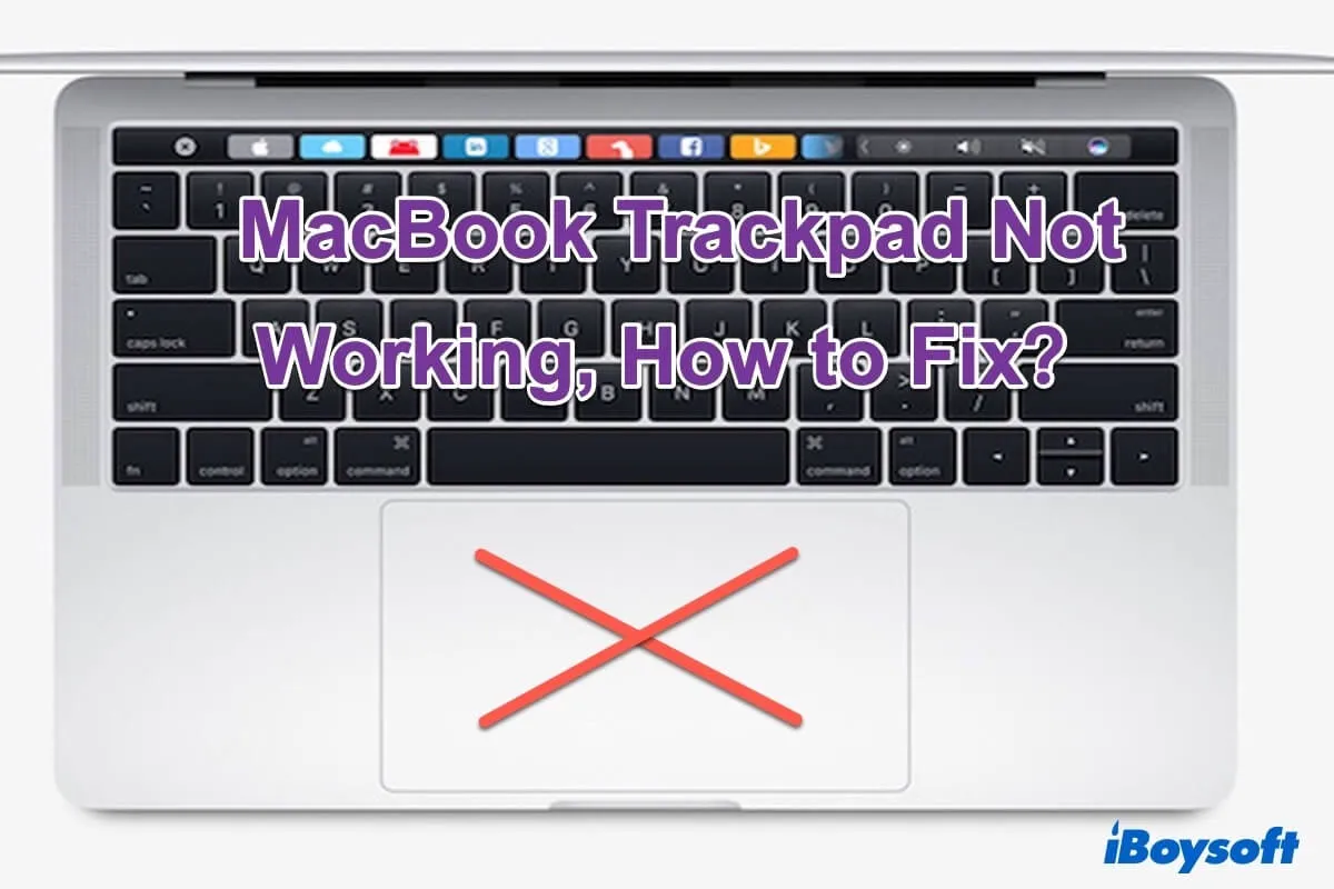 summary-macbook-trackpad-not-working