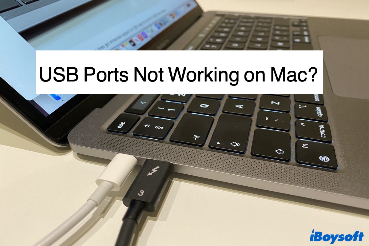 USB ports not working on Mac